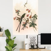  vogelstand door John Gould Poster (Thuiskantoor)