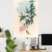  vogelstand door John Gould Poster (Thuiskantoor)