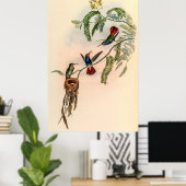  vogelstand door John Gould Poster (Thuiskantoor)