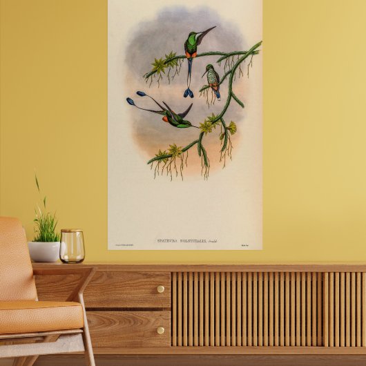  vogelstand door John Gould Poster (Woonkamer 2)
