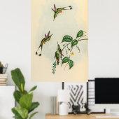  vogelstand door John Gould Poster (Thuiskantoor)