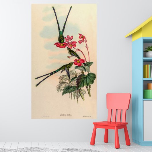  vogelstand door John Gould Poster (Kinderkamer 1)