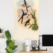 vogelstand door John Gould Poster (Thuiskantoor)