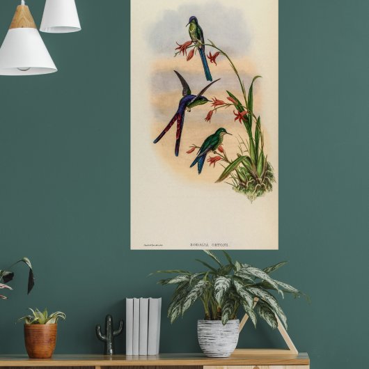 vogelstand door John Gould Poster (Woonkamer 1)