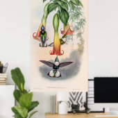  vogelstand door John Gould Poster (Thuiskantoor)