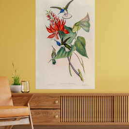  vogelstand door John Gould Poster