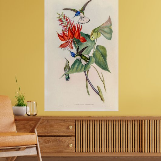  vogelstand door John Gould Poster (Woonkamer 2)