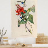  vogelstand door John Gould Poster (Keuken)