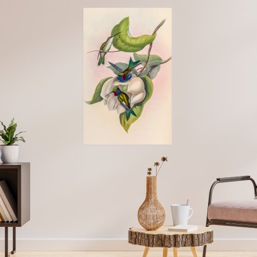  vogelstand door John Gould Poster (Woonkamer 3)