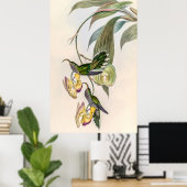  vogelstand door John Gould Poster (Thuiskantoor)