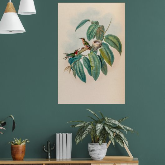  vogelstand door John Gould Poster (Woonkamer 1)