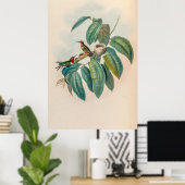  vogelstand door John Gould Poster (Thuiskantoor)