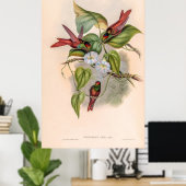  vogelstand door John Gould Poster (Thuiskantoor)