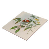  vogelstand door John Gould Tegeltje (Zijkant)