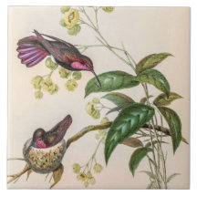  vogelstand door John Gould