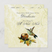 vogelstand en nestbeweging aankondiging (Voorkant / Achterkant)