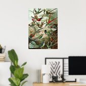 vogelstand poster (Thuiskantoor)