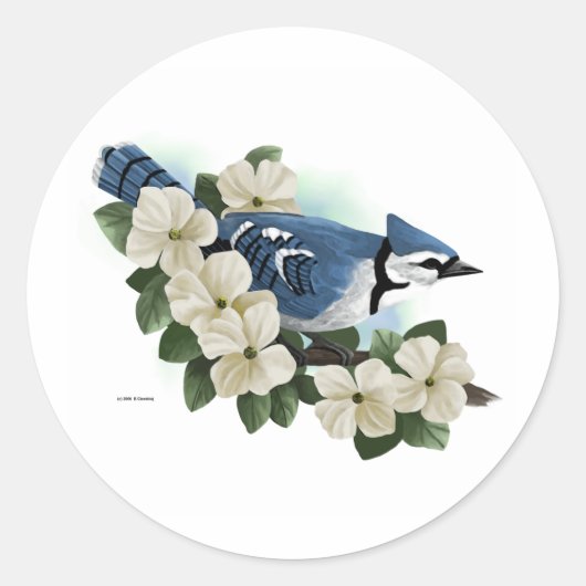 VogelStickers Ronde Sticker (Voorkant)