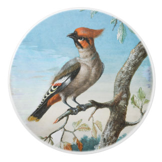 Vogelstudie door George Edwards (1694-1773) Keramische Knop