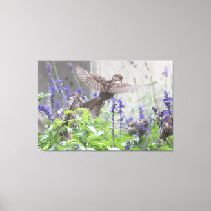 Vogeltje in Lavendel Canvas Afdruk