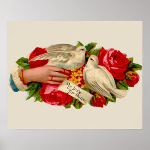  vogeltjes Victoriaans liefdesduiven Poster