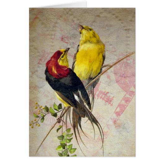  vogeltrek alle keren (Voorkant)