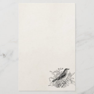  vogeltrekvogels - Speciaal gepersonaliseerde voge Briefpapier