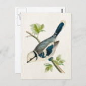  vogeltrekvogels van 1800 briefkaart (Voorkant / Achterkant)