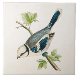 vogeltrekvogels van 1800 tegeltje