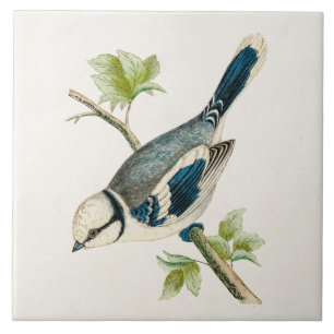  vogeltrekvogels van 1800 tegeltje
