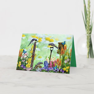 Vogeltuin Kaart
