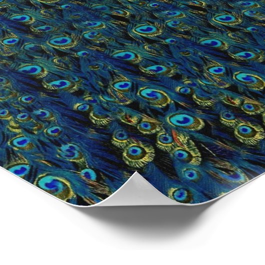   vogelvangbeestje poster (Hoek)