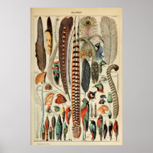 vogelvanger - plug-wandkunstdecor