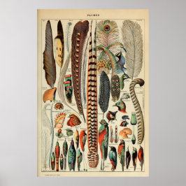 vogelvanger - plug-wandkunstdecor poster