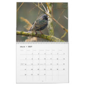 "Vogelverhalen" Vogelfotokalender Kalender (Mar 2027)