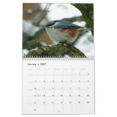 "Vogelverhalen" Vogelfotokalender Kalender (Jan 2027)