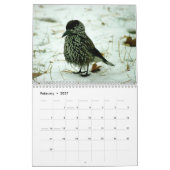 "Vogelverhalen" Vogelfotokalender Kalender (Feb 2027)