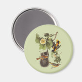  vogelverschrikkingen orropial Oriole Magnet Magneet (Voorkant / Achterkant)