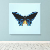 Vogelvleugelvlinder Canvas Afdruk (Insitu (Houten vloer))