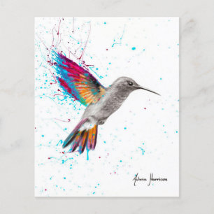 Vogelvogel met volledige kleur Vogelvogel voor M Flyer