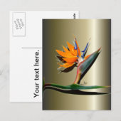 Vogelvogel van de Paradijsbloem Briefkaart (Voorkant / Achterkant)