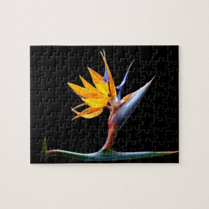 Vogelvogel van de Paradijsbloem Legpuzzel