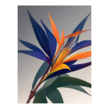 Vogelvogel van de Paradijsbloem