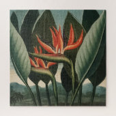 Vogelvogel van de  paradijse tempel van Flora Bota Legpuzzel (Verticaal)