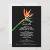 Vogelvogel van het paradijs dat iedereen in één ke (Achterkant)