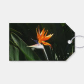 Vogelvogel van het Paradise Oranje Tropische Bloem Cadeaulabel (Voorkant (Horizontaal))