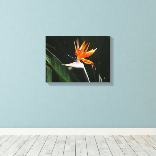 Vogelvogel van het Paradise Oranje Tropische Bloem Canvas Afdruk (Insitu (Houten vloer))