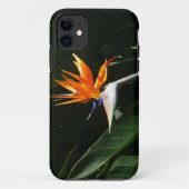 Vogelvogel van het Paradise Oranje Tropische Bloem Case-Mate iPhone Case (Achterkant)