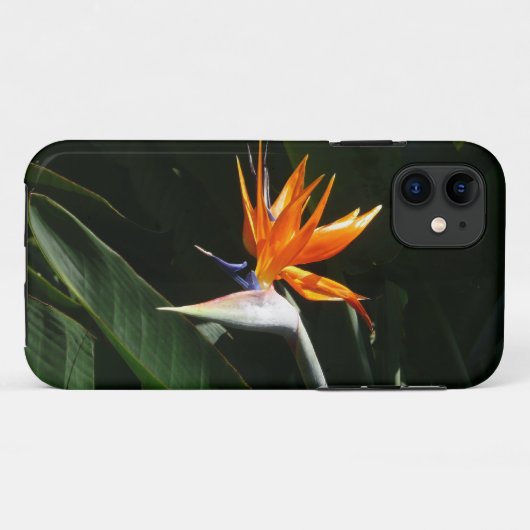 Vogelvogel van het Paradise Oranje Tropische Bloem Case-Mate iPhone Case (Achterkant (horizontaal))