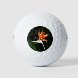 Vogelvogel van het Paradise Oranje Tropische Bloem Golfballen